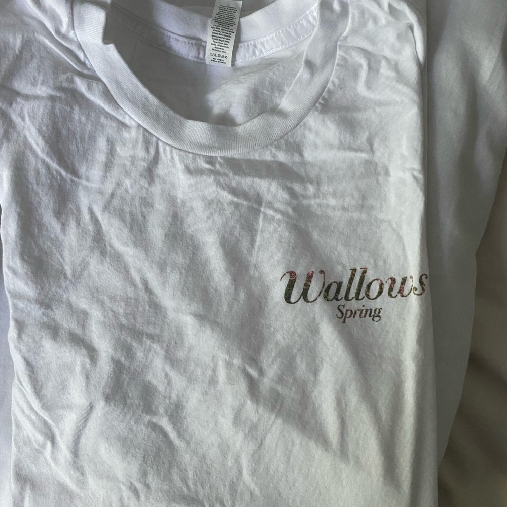 Wallows spring merch tee